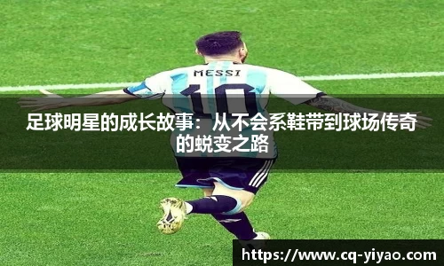 星空·综合体育中国官网